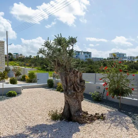 Villa Luxury Paphos Adaris 5 Bedroom Private Swimming Pool *